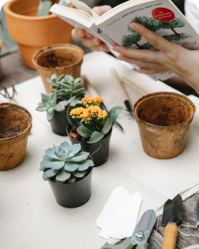 about garden care