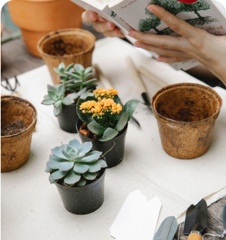 about garden care