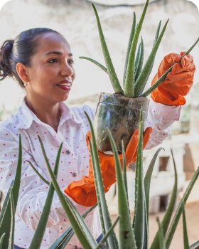 about garden care