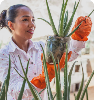 about garden care