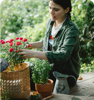 about planting