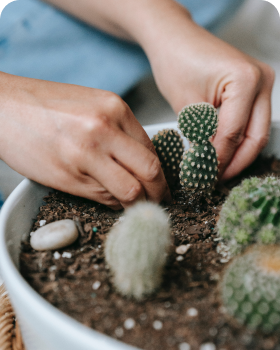 about planting