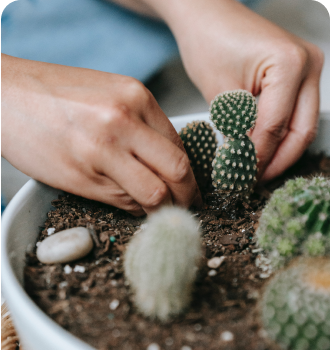 about planting