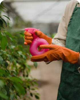about lawn care