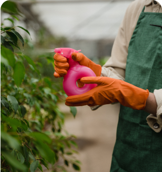 about lawn care